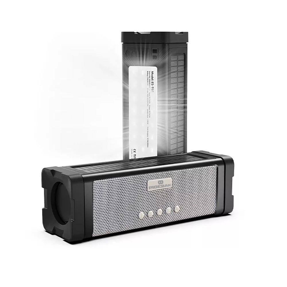 Pigebak Portable Bluetooth Speaker